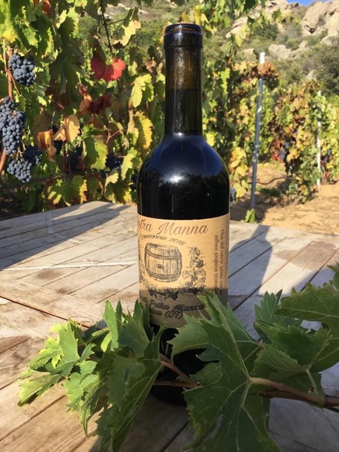 Tenuta Petra Manna Palau Εξωτερικό φωτογραφία