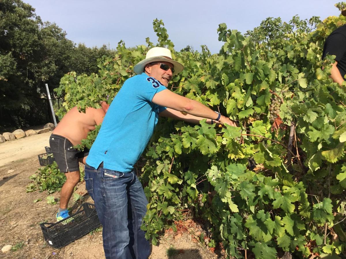 Tenuta Petra Manna Palau Εξωτερικό φωτογραφία