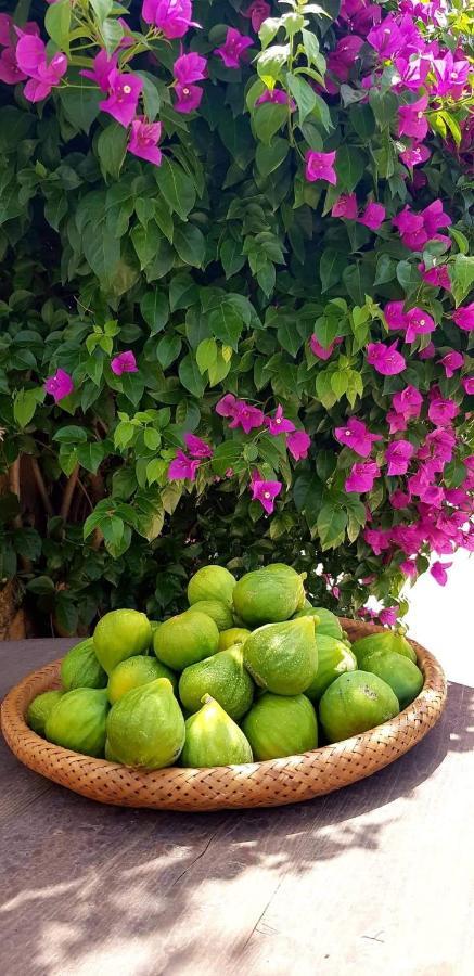 Tenuta Petra Manna Palau Εξωτερικό φωτογραφία